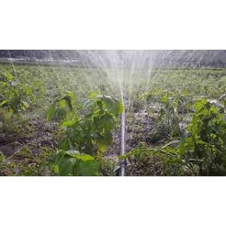 Ống phun mưa phi 27mm cuộn 100m