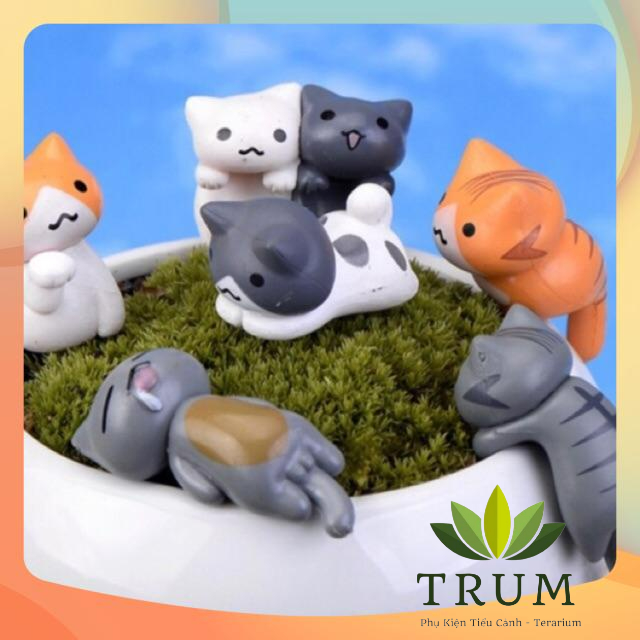 Bộ 6 Mèo Siêu Quậy Phụ Kiện Làm Tiểu Cảnh