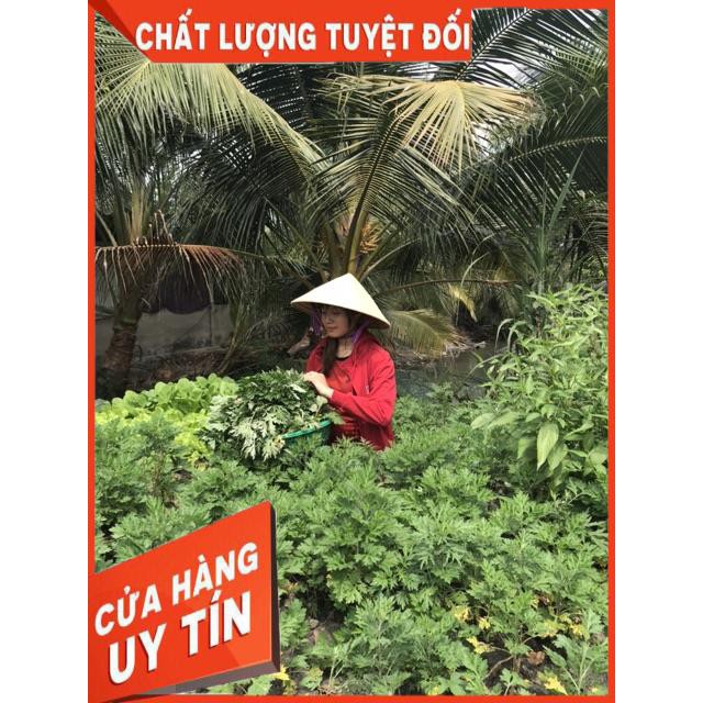 Muối ngâm chân thảo dược mẹ Thảo