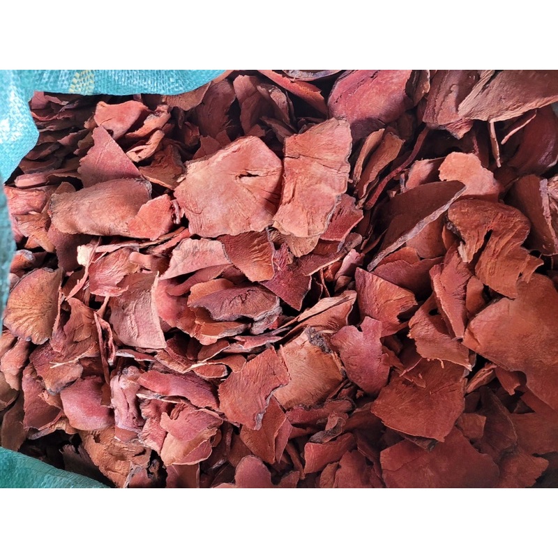 Thổ phục linh  đỏ rừng Tây Bắc phơi khô