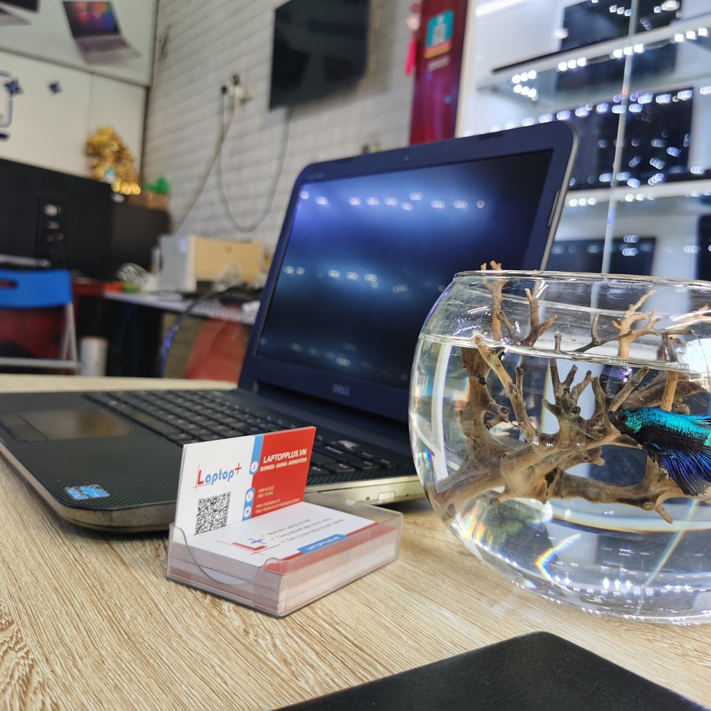 Thanh lý Laptop Dell V2421 core i5 3337U, RAM 4GB, HDD 500GB, màn 14inch | BigBuy360 - bigbuy360.vn
