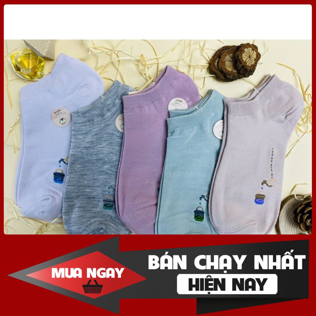 Tất Nữ Cổ Thấp Hoạ Tiết Thời Trang, Hình Ống Nước { Giá Sỉ Toàn Quốc} | BigBuy360 - bigbuy360.vn