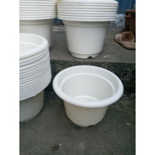 30 cái chậu nhựa giá tốt đường kính 24cm x16cm