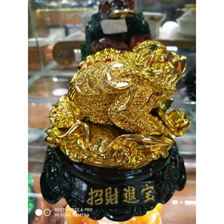 Thiềm Thừ Đế Gỗ ( Ông Cóc )