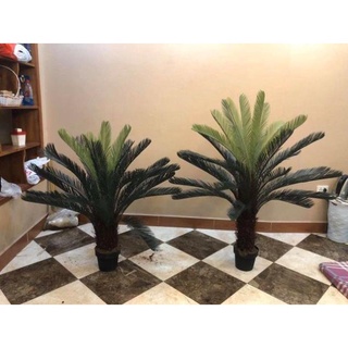 Cây thiên tuế - cây giả trang trí cao 90cm- 1.2met. 1.4met