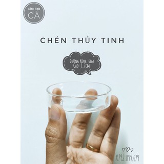 Chén Thủy Tinh - Chén Ăn SIÊU TRONG chuyên đựng THỨC ĂN CHÌM