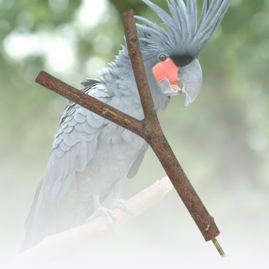 4 PCS Gỗ tự nhiên Chim Perch Vẹt Đứng-Nền tảng Perch Phụ kiện Lồng