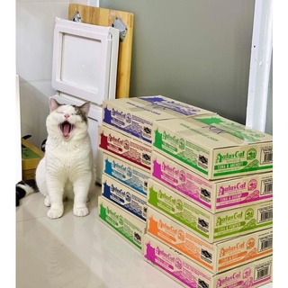 Pate cho mèo Aatas Cat lon 80g