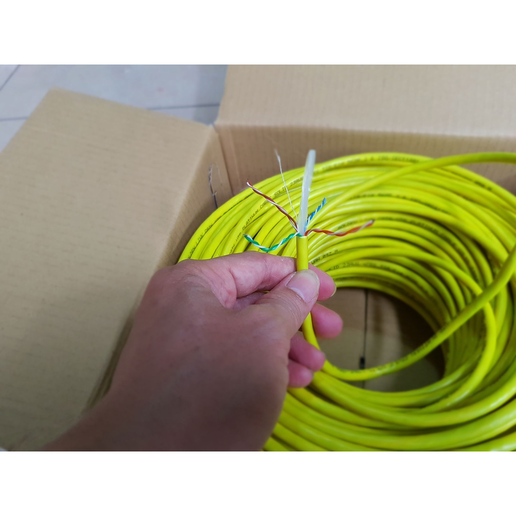 60m/70m Dây mạng Golden Link CAT6 UTP bấm sẵn 2 đầu - Cáp mạng, cáp lan, dây lan, cáp internet