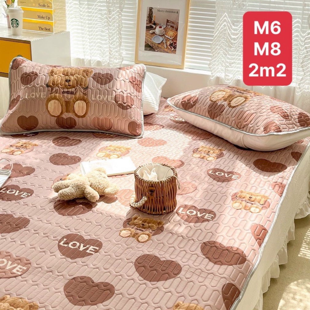 Chiếu Điều Hòa vải Tencel 6D VIP dùng quanh năm tặng kèm 2 vỏ gối