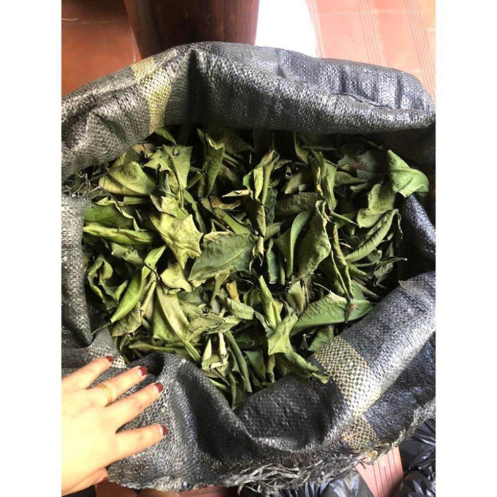 1kg lá bưởi khô giải cảm gội đầu mượt tóc.