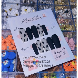 Nailbox thiết kế - Nailbox tay siêu xinh