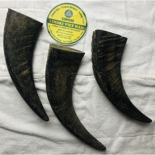 Sừng Trâu Thô Đặc