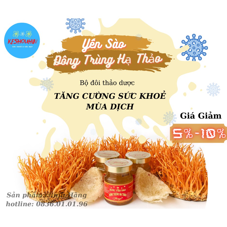 Yến Sào Đông Trùng Hạ Thảo FUNGI Yến Đặc 15% 70ml, Tăng Cường Sức Khỏe, Trẻ Hóa, Ăn Ngủ Ngon - Dược Thảo FUNGI