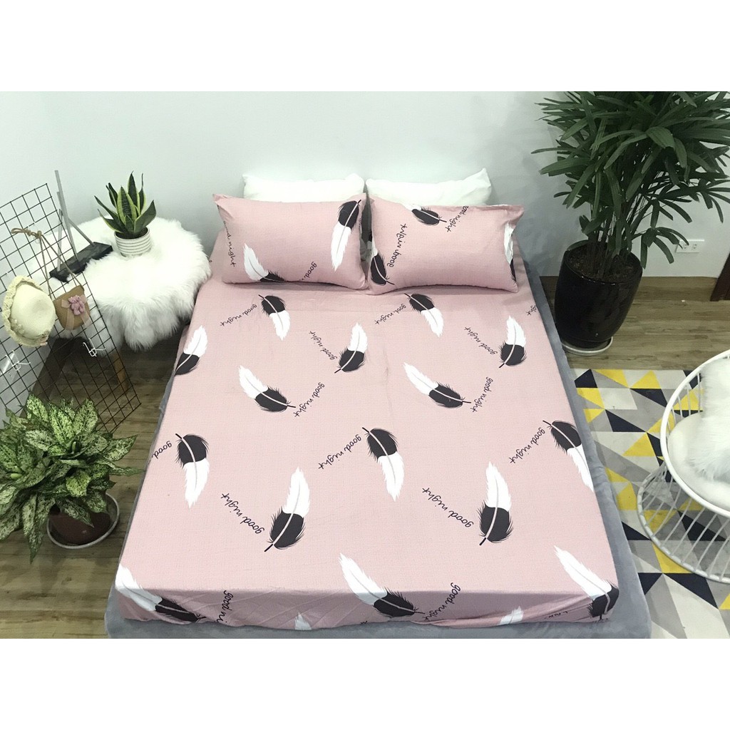 Bộ ga gối 1m6 cotton 100% nhập khẩu mềm mịn mã GGCT-01101