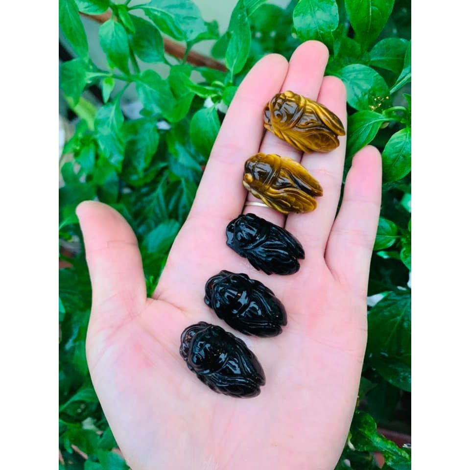 Ve sầu phong thủy cho bé