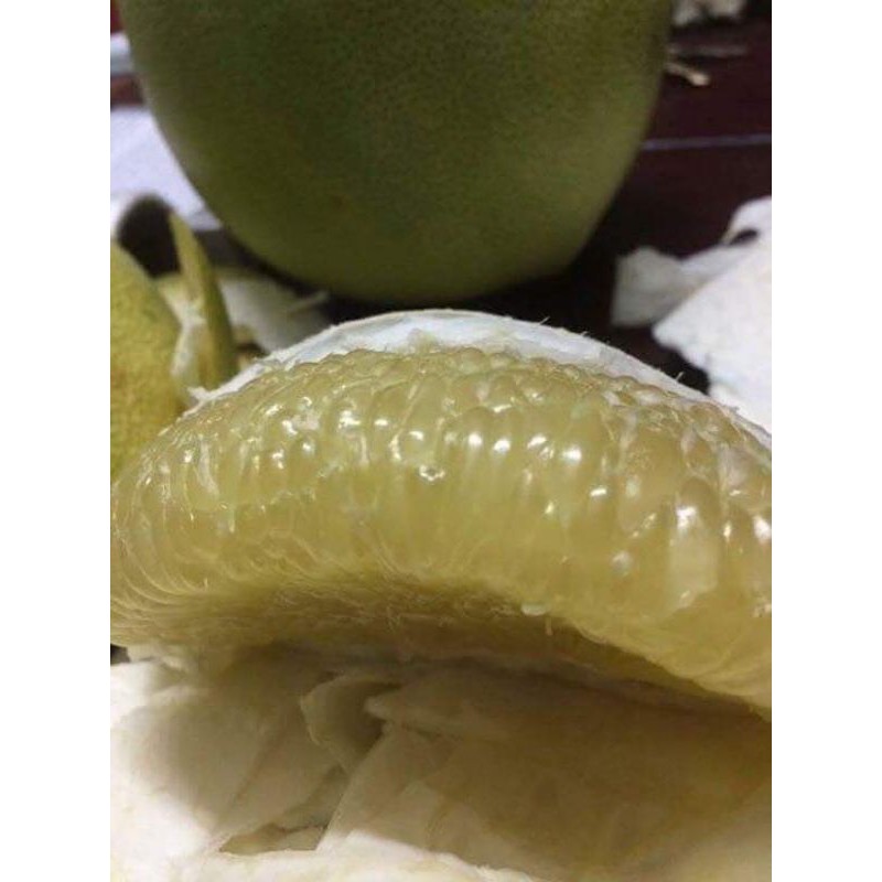Bưởi năm roi Mỹ Hòa 5 quả đủ size