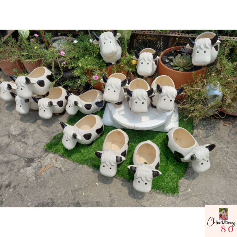 Chậu đất nung Bình Dương - Chậu trồng sen đá, xương rồng - Chậu bò đốm tráng men miệng 10.5x7.5, cao 17