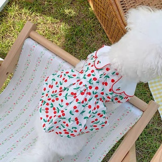 [Có sẵn] Đầm Cherry dành cho thú cưng