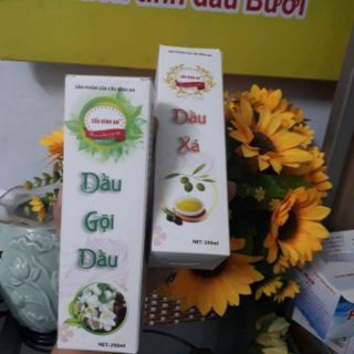 CẶP DẦU GỘI & XẢ