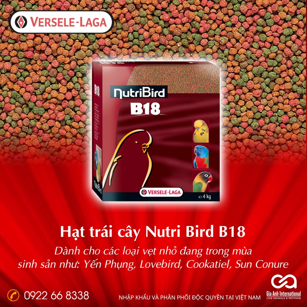 Hỗn hợp hạt trái cây nhiều dinh dưỡng Versele-Laga NutriBird B18 dành cho Vẹt nhỏ sinh sản - Nguyên gói 1kg và thùng 4kg