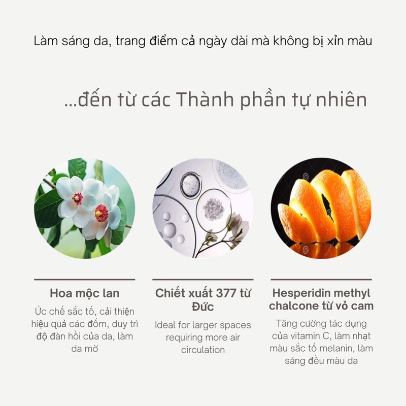 LUCENBASE cushion cao cấp dành cho da dầu mụn, che khuyết điểm, sáng đẹp tự nhiên.