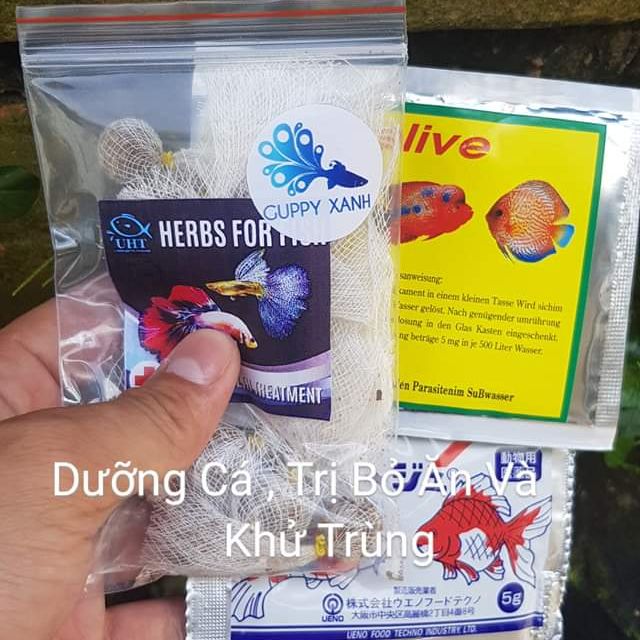 Combo thuốc dưỡng, sình bụng, bỏ ăn và nam ở cá cảnh