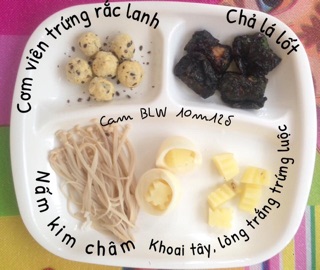 ( Thanh Lý Nghỉ Bán) Khay Ăn Dặm BLW Chữ Nhật