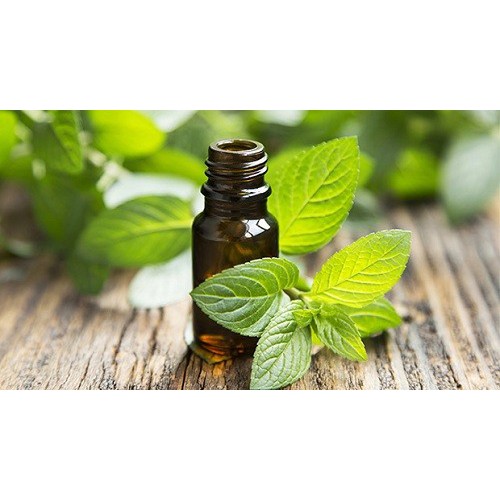 TINH DẦU BẠC HÀ (PEPPERMINT ESSENTIAL OIL)