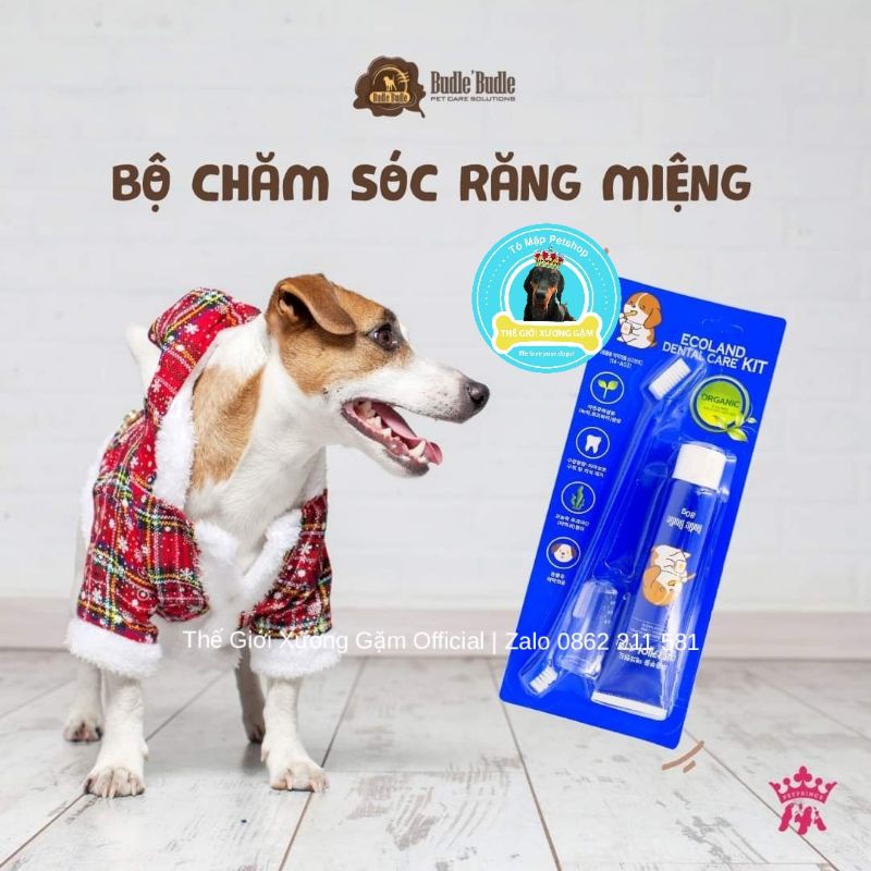 KIT CHĂM SÓC RĂNG MIỆNG BÀN CHẢI KEM ĐÁNH RĂNG BUDLE BUDLE