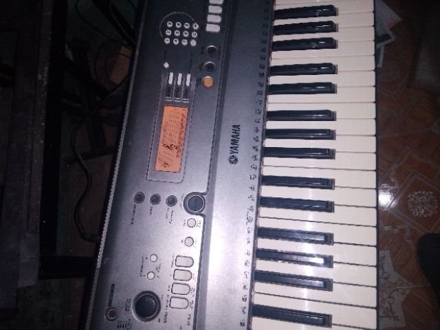 Đàn ocgan nhật bãi