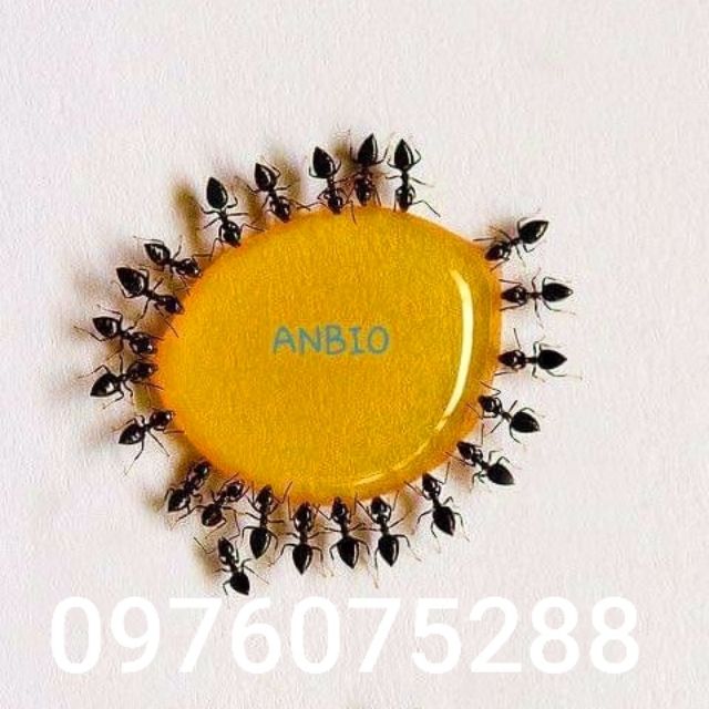 Thuốc diệt kiến gián sinh học Anbio 10ml hiệu quả.