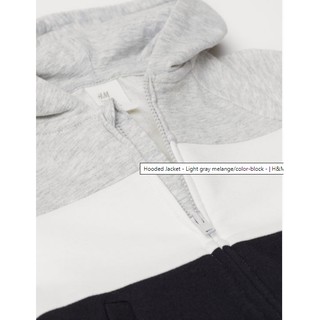 Áo hoddies