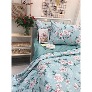 Bộ ga gối 100% cotton lụa hàn quốc ( chưa mền)