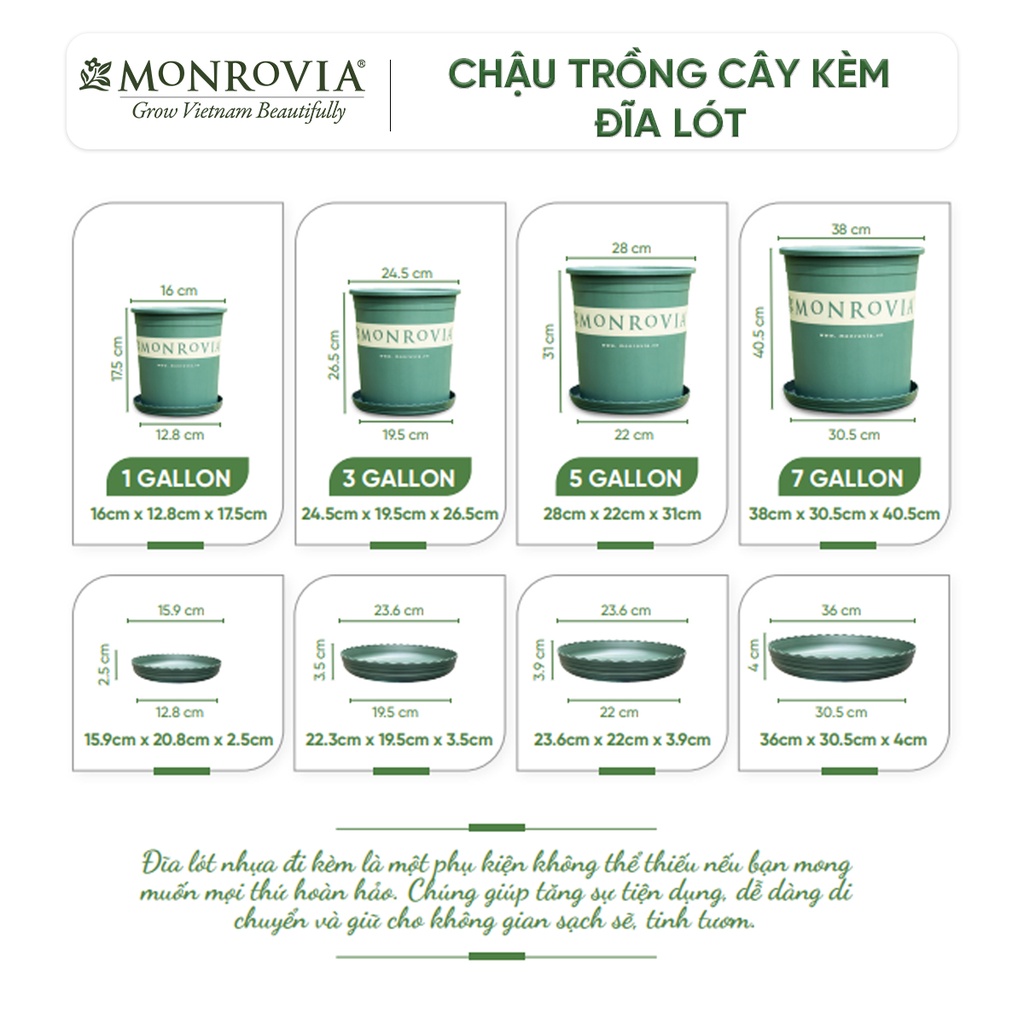 Combo 3 Chậu trồng cây MONROVIA, kèm đĩa lót, cây cảnh mini, trồng rau, hoa, để bàn, treo ban công, nhập khẩu