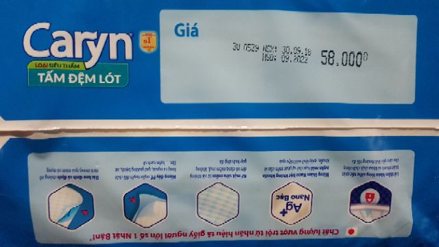 TẤM ĐỆM LOT CARYN SIÊU THẤM 10 MIẾNG