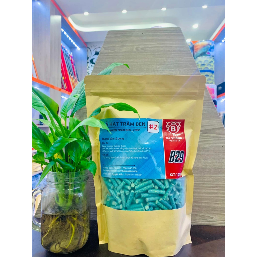 Cám Hạt Bá Vương xả ổ câu đài B25 B26 B29 B52 B55 mùa hè