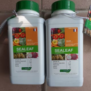 Phân bón hữu cơ Rong biển SEALEAF chai 500ml