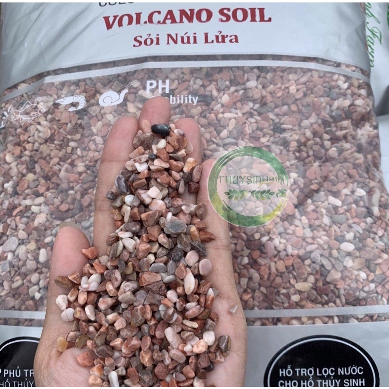 Sỏi Núi Lửa - trang trí bể cá thể thuỷ sinh