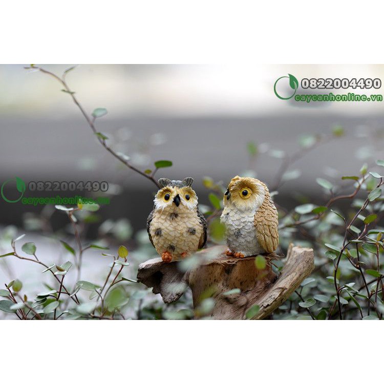 Chim cú mèo - tượng trang trí tiểu cảnh trang trí bàn làm việc - phụ kiện tiểu cảnh