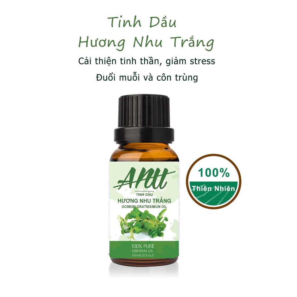 Tinh Dầu Hương Nhu Anu Fragrance | 100% Thiên Nhiên Nguyên Chất | Ocimum Essential Oil | Kiểm Nghiệm Quatest 3
