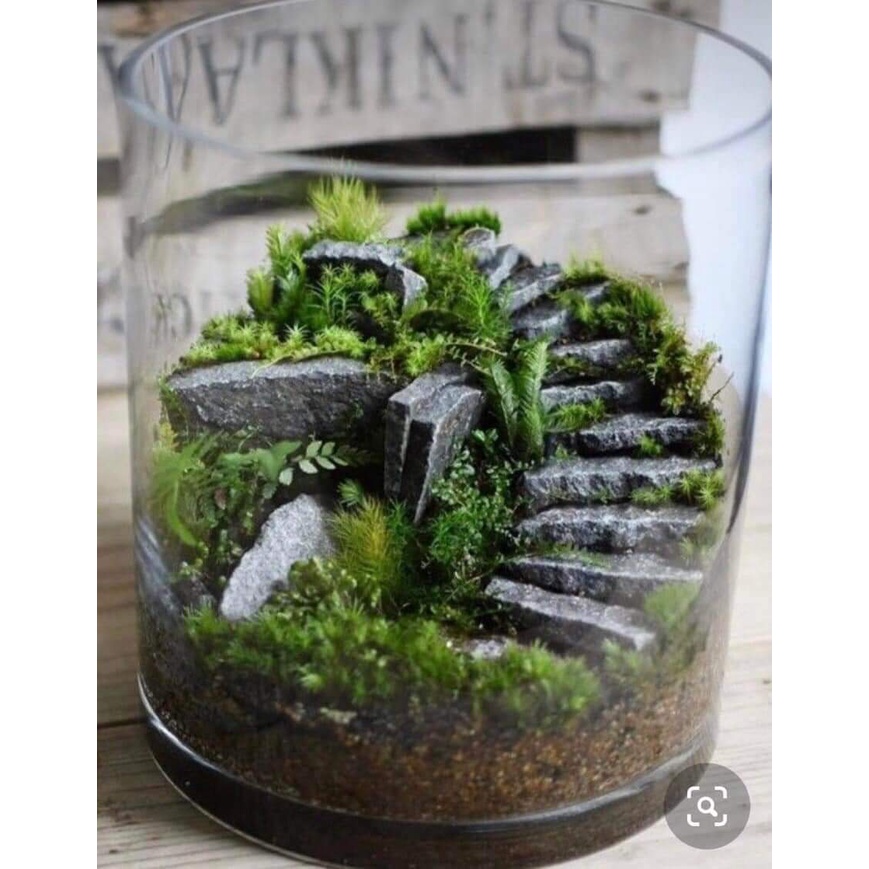 10 viên đá miếng làm terrarium, trang trí tiểu cảnh.