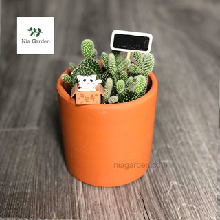 Chậu đất nung trụ tròn nâu nhỏ trồng cây để bàn, sen đá, xương rồng