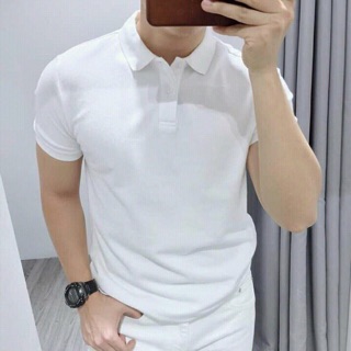 Áo phông Nam chất Cotton cổ bẻ