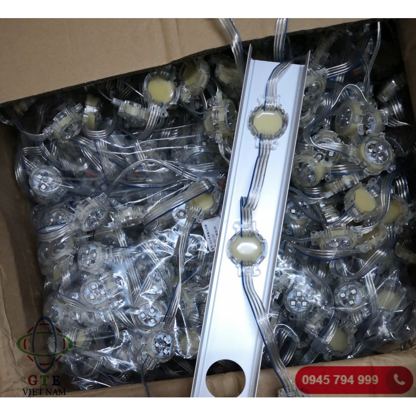 Led Bát Full Color F30