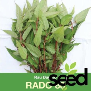 Hạt Giống Rau Đay Đỏ Rạng Đông 20Gram