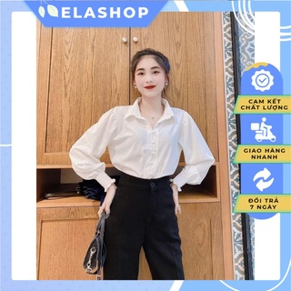 Áo sơ mi dài tay, áo sơ mi tay bo chun