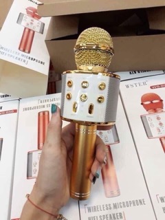 MIC HÁT KARAOKE