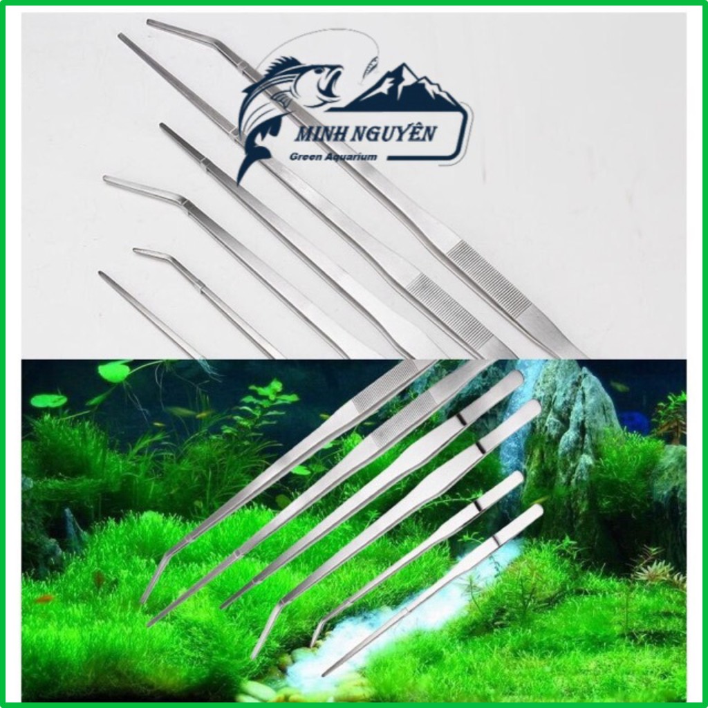 Nhíp Và Kéo trồng cây Inox KENIS Dụng Cụ Trồng Cây Cho Hồ Thủy Sinh