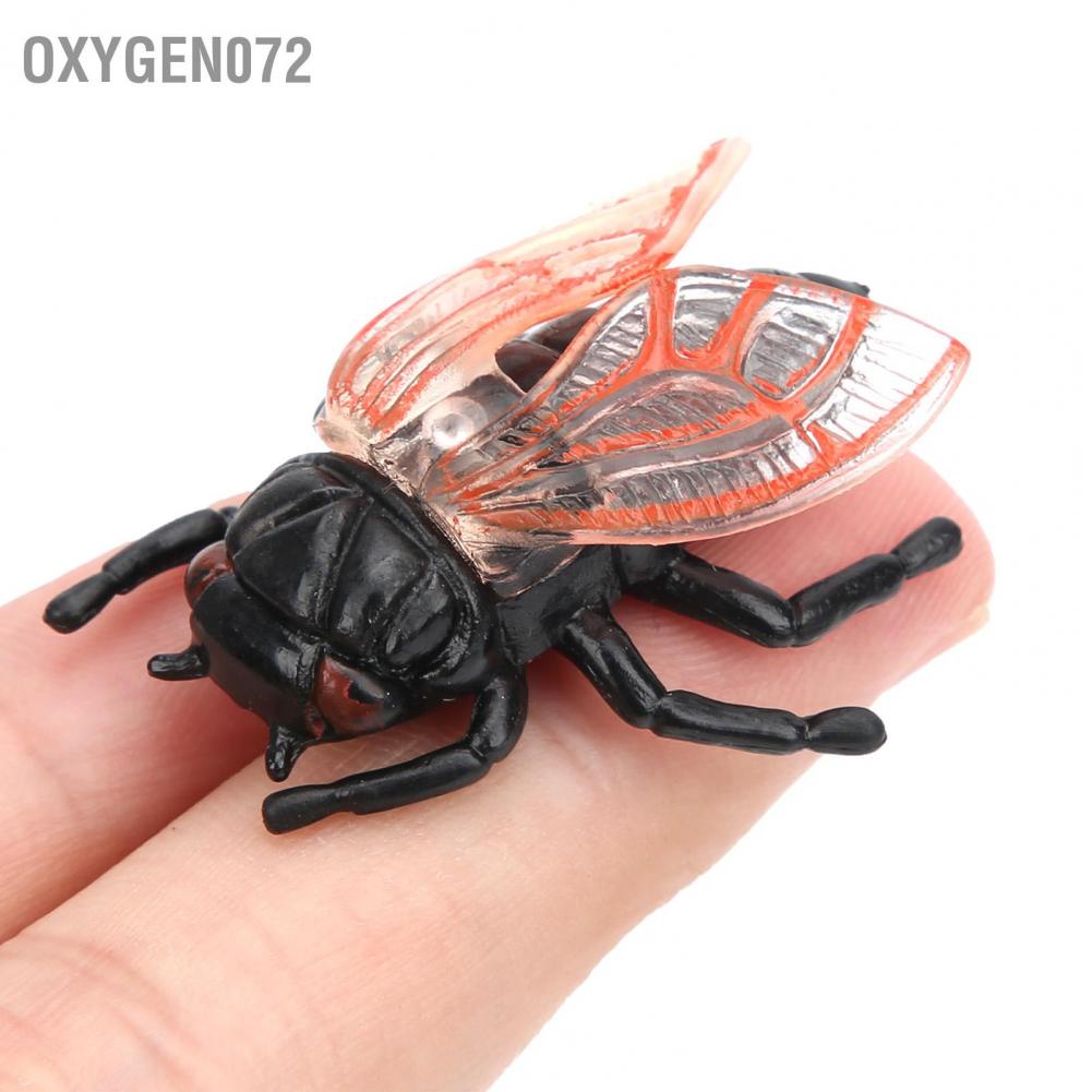 Oxygen072 Cicada Insect Model Highly Simulation Children Kids Ornament Decoration